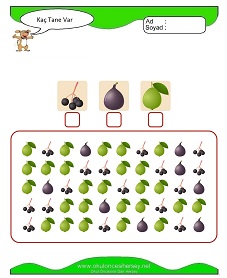 Kaç Tane Var Çalışma Sayfaları